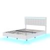 Queen Size Floating Bed Frame with LED Lights and USB Charging,Modern Upholstered Platform LED Bed Frame,White