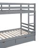 Twin-Over-Twin Bunk Bed with a Tree Decor and Two Storage Drawers